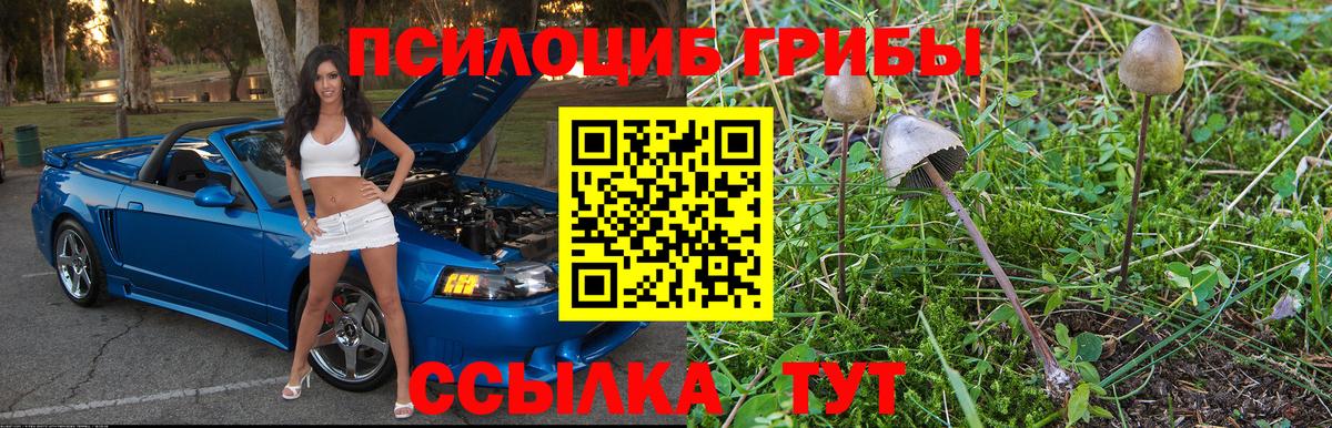 Псилоцибиновые грибы мухоморы  Вход с VPN  Трёхгорный  Галлюциногенные грибы Magic Shrooms 
